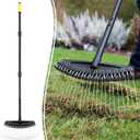 Colwelt Thatch Rake, Dethatcher Rake with Thin, Curved Spring Steel Tines, Dethatching Thatching Rake for Lawns with 61 Steel Handle, Lawn Tine Rakes for Pine Needles, Dead Grass, Garden Debris