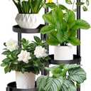 KISENG 5 Tier Plant Stand Indoor, Metal Corner Plant Shelf Outdoor, Foldable Tall Plant Rack for Mutiple Plants, Flower Pot Holder Display Stand for Living Room Patio Home Decor for Gatdening (5 Tier 31.4 in, Black)
