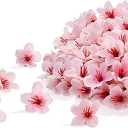 SITUMEIZI 100 Pcs Mini Pink Cherry Blossom Flowers Head Artificial Small Cherry Blossom Head Fake Mini Flowers for Home DIY Flower Wall Mother's Day Party Birthday Decor 1.6 inches