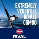 PENN 6’6” Rival Level Wind Fishing Rod and Reel Conventional Combo, 6’6”, 1 Tubular Fiberglass Fishing Rod with 2 Reel, Durable, Break Resistant and Lightweight