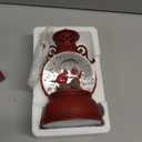 Christmas Snow Globes, Cardinal Christmas Water Globes with 8 Songs, 6H Timer Battery & USB Powered Glitter Snow Globe Music Box Suitable for Christmas Home Decorations Holiday Party Gifts (Color 3)