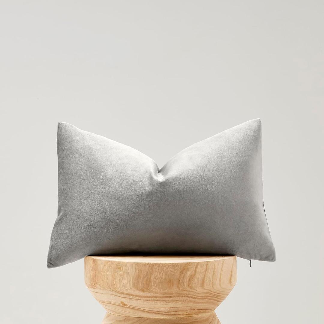 Silver Grey Velvet Decorative Throw Pillow Covers for Sofa Bed 2 Pack Soft Cushion Cover