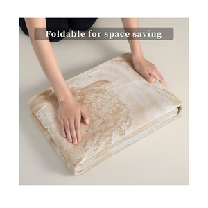 Ciicool Abstract Area Rug Indoor, 2×3 Washable Entryway Rug, Modern Soft Throw Entry Rug with Non-Slip Backing for Bedroom Living Room Entrance, Low-Pile Floor Carpet Doormat Light Brown Beige