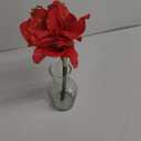 Silk Amaryllis in Glass Vas