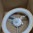 24'' Ceiling Fan with Light Fandelier Flush Mount Low Profile Wood Ceiling Fan with Dimmable LED Light 3 Color 6 Speeds