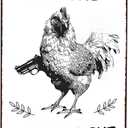 Smilelife Funny Chicken Gifts Chicken Tin Sign for Home Farm Chicken Coop Farmhouse Kitchen Garden Decor 8 X 12 Inch (3220)
