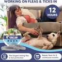 Flea Collar for Dogs, Tick Collar for Larger Dogs, Dog Flea Collars,8 Months Protection,Plant-Based Ingredients,Comfortable Dog Flea Collars  Perfect for Sleep, Play, Walks & Water Fun-2P