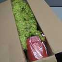 2ft Whimsical Christmas Tree Large Lime Green Artificial Curved Prelit Xmas Tree with Red Ball and 30 LED Light String for Indoor Outdoor Porch Christmas Decorations