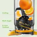 Juicer Machines, 5.3" Wide Feed Chute Cold Press Juicer for Whole Vegetables & Fruits, High Juice Yield, BPA Free (Slivery)