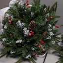 LAVEVE Prelit Small Christmas Tree 20" with 50 Warm LED Timer Lights, Battery Operated Xmas Tree with Red Berries & Pinecones, Frosted Urn Filler, Outdoor for Porch and Pathway,2 Pack