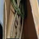 Artificial Tree - 38-Inch Tropical Yucca Plant with Rubber Leaves and Natural Trunk for Living Room, Bedroom and Office - Faux Plants