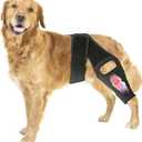 Knee Brace for Dogs for Torn ACL/CCL & Hind Leg Support, for Knee Cap Dislocation, Arthritis - Keeps The Joint Warm and Stable - Extra Support - Reduces Pain and Inflammation (M)