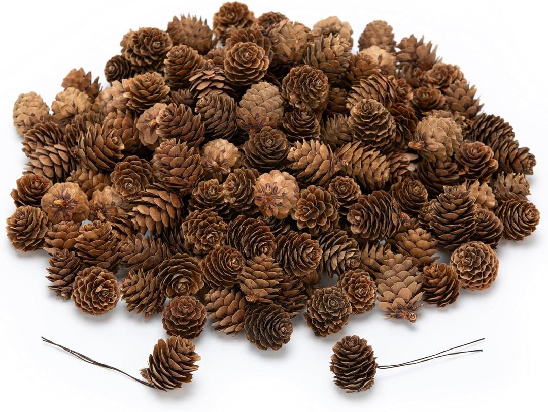 168 Pcs Natural Mini Pine Cone Kit with Brown Iron Wires for DIY - 0.6"-1.2" Small Pinecones Ornaments Bulk for Crafts, Vase Filler, Wrap, Fall, Wedding, Home (Natural)