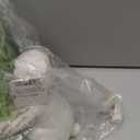 Raz Imports 2024 The Carrot Patch 9" Green Cabbage Container with Bunny