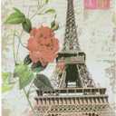 Diversion Book Safe, Dictionary Secret Cash Safe Box with Combination Lock, Diversion Book Hidden Safe (Paris, Code, M)