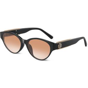 DANAMY Sunglasses Women's Retro Oval Sunglasses for Women Trendy Sun Glasses Classic Shades UV400 Protection