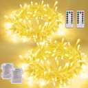 YEGUO Battery Operated String Lights Indoor, 2 Pack Each 33ft 100 LED Twinkle Fairy Lights for Bedroom with Remote, 8 Modes Clear Wire Warm White Christmas Lights Outdoor Waterproof