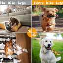 Yipetor Durable Dog Chew Toys 6 Pack, Cotton Rope Rubber Dog Toys,Convex Design for Puppy Small Medium Dogs Chew, Tug of War, Fetching, Puppy Teething Toy for Boredom, Gift