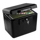 SentrySafe 0.6 cu. ft. Security Fire File Safe, 1170