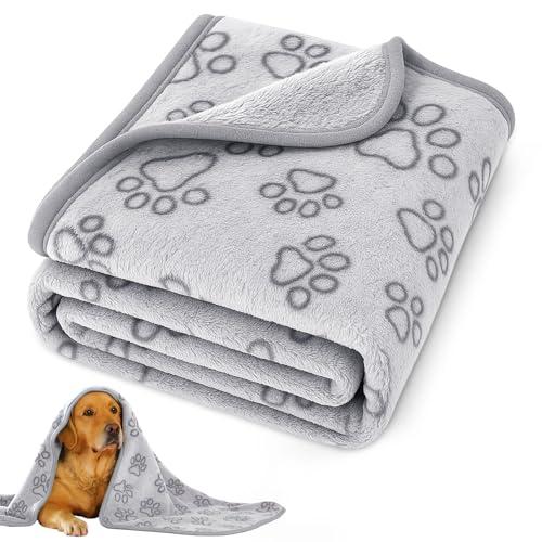 41" x 30" Dog Blankets for Medium Dogs, Cat, Premium Soft Dog Blankets for Small Dog Washable, Puppy Blanket Dogs Essentials for Puppies (Grey)