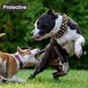 Wide Gold Spiked Dog Collar, Epesiri Dog Chain Collars, Mushroom Rivet PU Leather Dog Collars, Adjustable Durable Spike Studded Pet Collar for Pitbull Mastiff Bulldog Pugs Husky Rottweiler