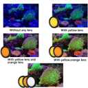 Reef Coral Lens Phone Kits for Phone 7 Lenses Kit 1 Dust Shield Case 2 Lens Clips