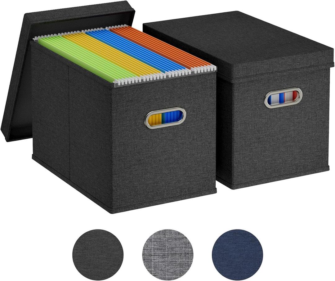 Lifewit 2 Pack File Organizer Box for A4-sized Hanging File Folders, Portable Document Storage with Plastic Slide, File Folder Organizer Storage Boxes for Office, School, Home, Storage Bins Dark Gray