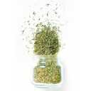 Fruidles Whole Thyme Leaves, Non-GMO, Freshly Packaged in Resealable Bag (4 Ounce) (BBD 11/02/27)