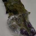 Forum Novelties Dinosaur Costume, Green (Large)