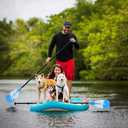 Karltion SUP Paddle - 3-Piece Adjustable Aluminium SUP Paddle with Glass Fiber Blade for Surfing, Floating, Water Sports