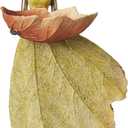 DiliComing Fairy Garden Statue Bird Feeder - 12 Inch Fairy Statue for Home Decoration, Resin Outdoor Statues for Garden Decoration, Best Bird Feeder Gift for Women(Yellow)