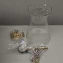 Emak 9 Inch Modern Pendant Lights Kitchen Island, Brushed Gold Pendant Light with Clear Glass Shade, Large Hanging Light Fixture for Kitchen, Dining Room, Bathroom, PL130-BGD-CG