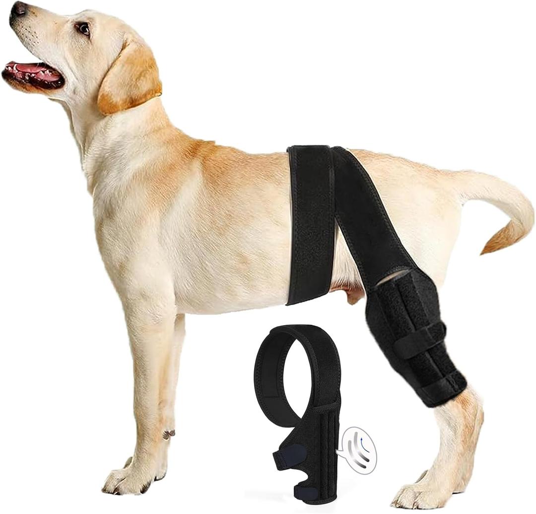 Dog Knee Brace for Torn ACL Hind Leg, Dual-Leg CCL Support with Vest Harness, 4 Metal Stabilizers, Hip Dysplasia & Luxating Patella Support, Vet-Recommended Rear Leg Brace for Dogs