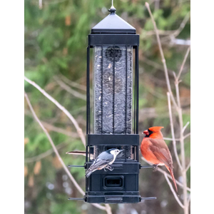 Nature's Way Bird Products Squirrel Shield Metal Squirrel Proof Advantage Cage Feeder 3.2 qt