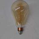 Philips 40Watt Equivalent A50 Dimmable Vintage Glas Edison LED Large Bulb 2000K