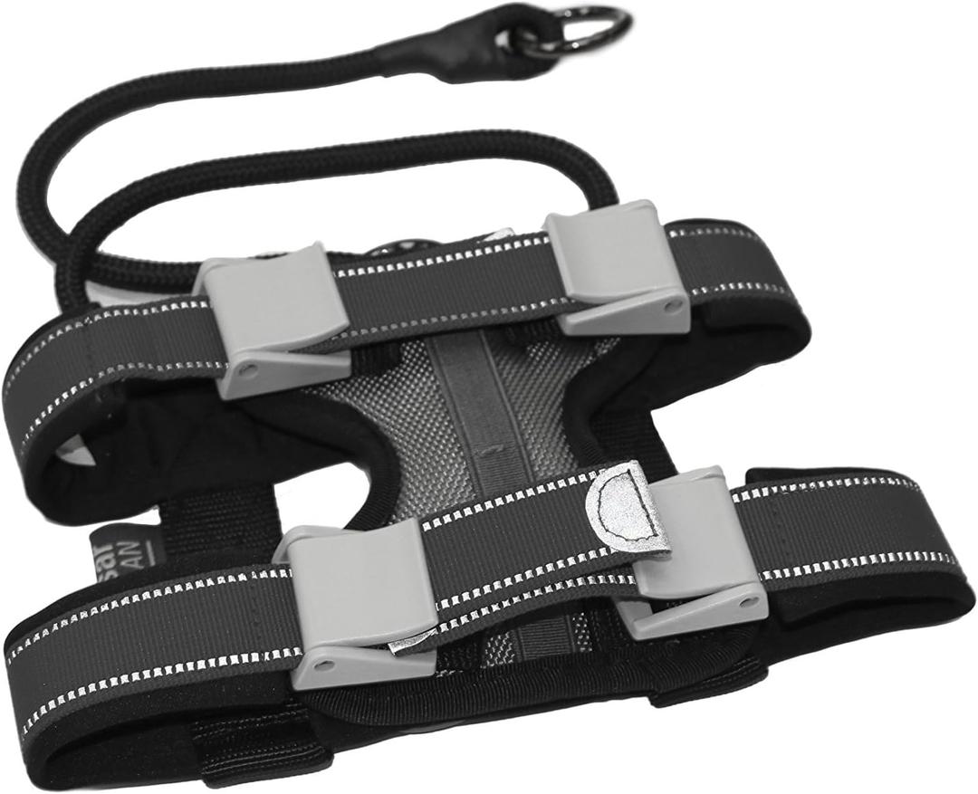 Cesar Millan Pack Leader Collar - Training Collar of The Dog Whisperer (Medium, Grey) Cesar Millan Pack Leader Collar - Training Collar of The Dog Whisperer (Medium, Grey)