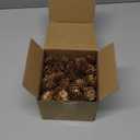 Lescli 84 Pcs Natural Mini Pine Cone Kit with Brown Iron Wires for DIY - 0.6"-1.2" Small Pinecones Ornaments Bulk for Crafts, Vase Filler, Wrap, Fall, Wedding, Home (Natural)