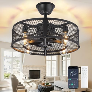 DLLT Caged Ceiling Fan with Light: 20" Farmhouse Fandelier with Lights and Remote & APP - Black Rustic Semi Flush Mount Bladeless Ceiling Fans Enclosed Fan for Bedroon Kitchen Living Dining Room