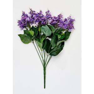 20" Purple Lilac Bush