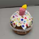 lilfrd Dog Birthday Toy, Birthday Cake Toys for Puppy Gifts, Squeaky Plush Dog Toys