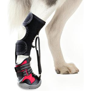 Toe Grips for Senior Dogs,Strap-On Drop Foot Brace for Dogs Dog Knee Pads,Corrective Dog Shoes to Safely Lift Toes for Foot Issues, Arthritis, and improving Walking gait in Dog(XL) (Extra Large)