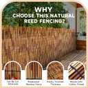 ZNCMRR Reed Fencing Rolls Fencing 4ft High Roll Reed Screen for Balcony Patio Garden Backyard 4FT X 16.4FT Privacy FenceBrown