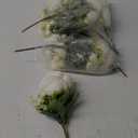 Crowye 8 Bundles Artificial Peonies Realistic Flowers with Stems Bouquet Peonies for Table Centerpieces Wedding Decoration Bridal Floral Arrangement (White)