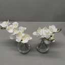 White Orchids Artificial Flowers Faux Orchid Arrangement with Clear Glass Vase Set of 2 Real Touch Phalaenopsis Orchid Flowers Orchid Centerpiece for Dining Room Table