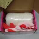 Make Your Own Axolotl Plush Pillow Kit Arts and Crafts for Kids (No Sew), DIY Axolotl Stuffed Toys for Girls & Boys Ages 3 4 5 6 7 8 9 10 + Years Old, Animal Activity, Squishy Plushy, Girls Presents