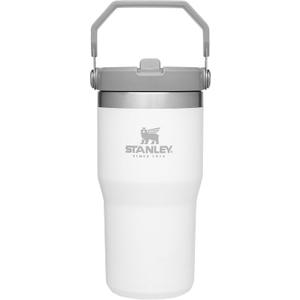 STANLEY IceFlow Flip Straw Tumbler with Handle 20 oz | Twist On Lid and Flip Up Straw | Leak Resistant Water Bottle | Insulated Stainless Steel |BPA-Free | Polar