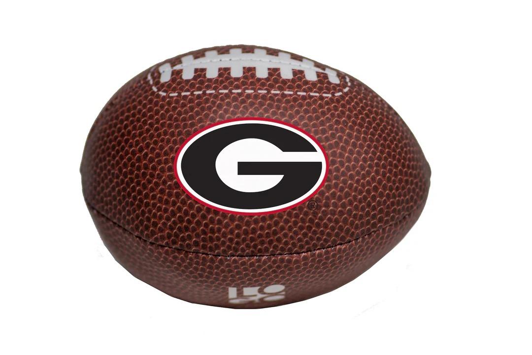 PIT NFL Plush Football