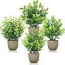 Der Rose 4 Pack Mini Artificial Plants Indoor in Pots Mixed Fake Plants Greenery Set for Bathroom Decor Shelf Counter Styling Office Desk Farmhouse Room Decor