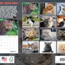 Cranky Cats Calendar 2026 Bad Cat Monthly Wall Calender 12 Month | American Made In The USA