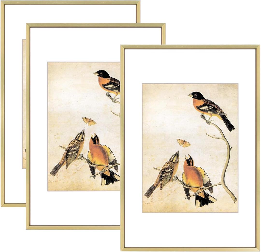 8x12 Picture Frame Set of 3, Brass Aluminum Metal Photo Frames with HD Glass, Fits 6x8 with Mat or 8 x 12 without Mat, Display for Wall